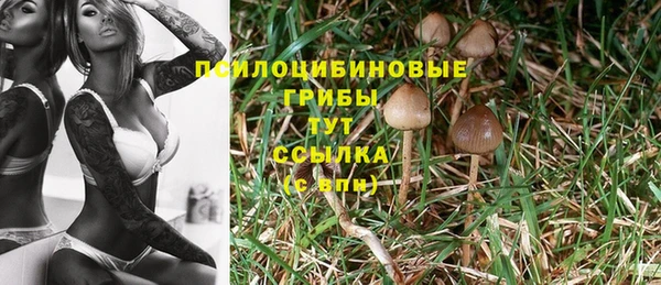 mdpv Белокуриха