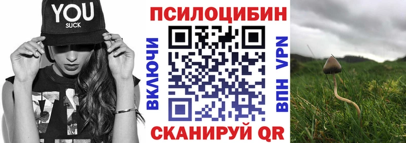 Галлюциногенные грибы Psilocybe  Туймазы 